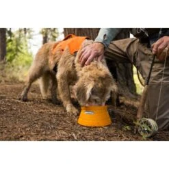 Ruffwear Bivy™ Faltbarer Napf -Ruffwear Verkäufe 2024 b21f85e12f046bba6b04285e99963c46170021f9 1651613 de DE 125ef372cbb05a1c89e3245701a5cdf0079102b6GpOPij