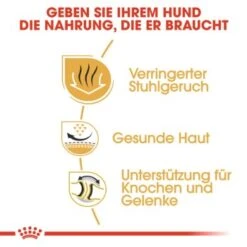 ROYAL CANIN Bulldog Adult 3 Kg 10 ROYAL CANIN Bulldog Adult 3 Kg -Ruffwear Verkäufe 2024 b2a0fd71eeb98d54f0e9a685339239b4dcf0374a 57b2b9908d28de419f4030b283f9700e75cbf5a4