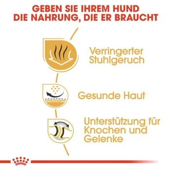 ROYAL CANIN Bulldog Adult 3 Kg 5 ROYAL CANIN Bulldog Adult 3 Kg – Bild 5