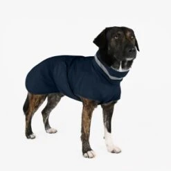 THE DOG IDEA Regenmantel Kayden Navy XXXS -Ruffwear Verkäufe 2024 b34fa31ccdc4617a61beca0e9885f8d1738e0e5d 1681323 de DE 4f609ef4877a48b367fd5a50d483a13a07b6ca7blJ2zsD