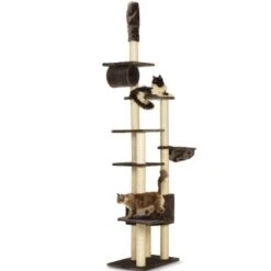 Trixie Kratzbaum Madrid 10 Trixie Kratzbaum Madrid -Ruffwear Verkäufe 2024 b46acd85ea9414eb1f29b23bef67460a69e4cf99 8236b84dd00f63f8f9c3ba5a6d1715022ce89cd5