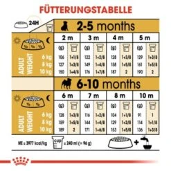 ROYAL CANIN Mops Puppy 1,5 Kg -Ruffwear Verkäufe 2024 b4fde8fc0325fcebebf1f7ba77ece4a760892ed2 1142a47ae7899b973d3881a321687bd221657b17