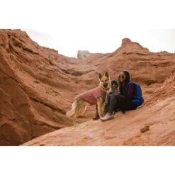 Ruffwear Hemp Hound™ Sweater Rosso M -Ruffwear Verkäufe 2024 b5165b497ab2ca12deabc5b7372706595a781875 1639886 de DE 86e1a268a8e48c7c0eda07c50072b9e29b38b607mGQtvr