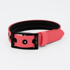 THE DOG IDEA Biothane Halsband Coral Koralle M 9 THE DOG IDEA Biothane Halsband Coral Koralle M -Ruffwear Verkäufe 2024 b7fe16fc921b2bcba328d45611a408d7405444fe 1481102 de DE 29ea273c3dfe4a43cc9376332d0f6335f89604dcwos5u2