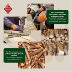 ChronoBalance Olivenholz (M) 2er Paket -Ruffwear Verkäufe 2024 b8532cfbb5aca3f94f942f82c6b341478c48663b 1418700 de DE 8f48e572bfc115876fd8e9be5efc6bdd38136584ot8gk1