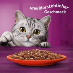 Whiskas Mega Pack 1+ Klassische Auswahl In Sauce 40 X 85g -Ruffwear Verkäufe 2024 b8bf2de8eb7738000e5afc2cec07342be5657174 1410718 de DE Whiskas 6