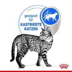 ROYAL CANIN Indoor 7+ Sterilised 12x85g In Gelee -Ruffwear Verkäufe 2024 b8deafb3ee408d0ff36ae01e8bfcb73235e77c63 280e962da7ec0ad4acf939fc5a0bfc1107418f5d