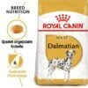 ROYAL CANIN Dalmatian Adult 12 Kg