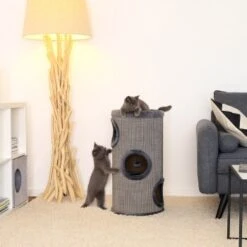Lionto 70cm Kratztonne Mit Sisal Kratzturm Grau 9 Lionto 70cm Kratztonne Mit Sisal Kratzturm Grau -Ruffwear Verkäufe 2024 b9c579c02bd4b27a7cd2c8ab87d2c0034bf4adec 1657064 de DE e973731c60583050766ad0958ba52886adfe9853tk4Wok