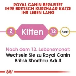 ROYAL CANIN British Shorthair Kitten 2 Kg -Ruffwear Verkäufe 2024 b9dcf6abb7a4919bf6fc18b953f6e6aa3597ecf5 b5fbd35505db68c05c613e1187818406628392a1