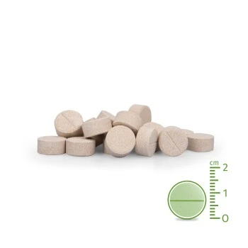 Aniforte Plus Magen & Darm 90 Tabletten 2 Aniforte Plus Magen & Darm 90 Tabletten – Bild 2