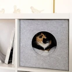 Lionto Katzenhöhle Aus Filz + Kissen - Regalhöhle Hellgrau -Ruffwear Verkäufe 2024 ba38cb426515f287554cca1376691e8fc1f2c06c 1657087 de DE 1787a06f3e708c0b40c07cda94f11d1c11828f21AhrPBZ