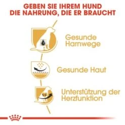 ROYAL CANIN Dalmatian Adult 12 Kg -Ruffwear Verkäufe 2024 baa6c07ef1dd09e8ccb454bd2028b3786efeaba9 379a8fd9eb8df725952ac68389429f637ffbb937