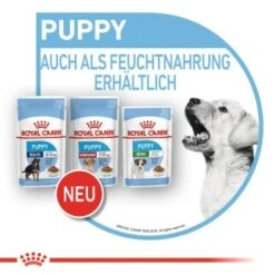 ROYAL CANIN Medium Puppy 10x140g 11 ROYAL CANIN Medium Puppy 10x140g -Ruffwear Verkäufe 2024 bc3f92646659ab6935de7e665d9d8b81c0b7c9cf 3a53132540880784da6eadc00c0e47ffd800aa3d