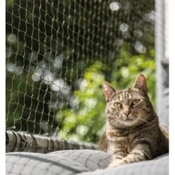 Trixie Katzenschutznetz Cat Protect 2 M, 1,5 M -Ruffwear Verkäufe 2024 bc6f0b8052c3a5b997776619d64762770aac1a9d 1017572 de DE trixie schutznetz wb2