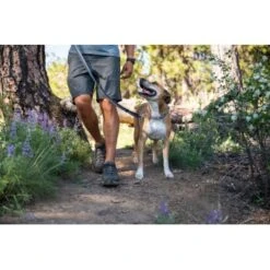 Ruffwear Chain Reaction™ Halsband Blau L -Ruffwear Verkäufe 2024 bda880cf20a0d4ecfc42a492d3afe2b836b658b4 1651441 de DE d0f63a8cbba2a216d104e913e59205811773db0fOOdjoJ