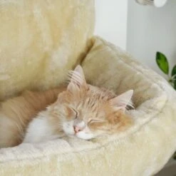 Schlitzohr Heizungsliege Lucky Beige -Ruffwear Verkäufe 2026 bdc02033928d033279e49ebefe91371e629dfd2f 1484673 de DE 4daf09016934a9074c92f48c173e840fa6385a4agwWEjb