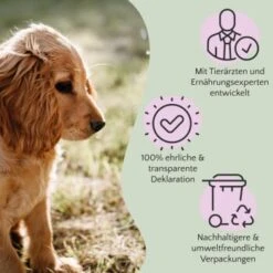 FAVLY Petfood PURE Bites Veggie 360 G -Ruffwear Verkäufe 2026 bec0cf8f032cb202461664cbfe5564f4eeab2e9b 1474000 de DE 9c441cea117e17df2d31039760b88fa0cc1eb6acALFkfB