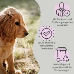 FAVLY Petfood FAVLY Probierpaket "Meat Roll" -Ruffwear Verkäufe 2026 bfb84361d73f660a80f9bdd3b9c7b03b3a337624 1475312 de DE 908544d2c24927cde4ce8f1acefe41ebea7bec296Yut1c