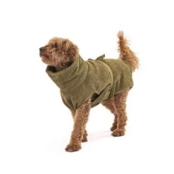 Lills Hundebademantel "Olive" 35 Cm -Ruffwear Verkäufe 2026 c0057de33eb3b72469425d52a779f0e2c4b3ca7d 1484639 de DE 3e4ecf83cf01336c44c7d02d3394b93dbad5ea93fdHU84