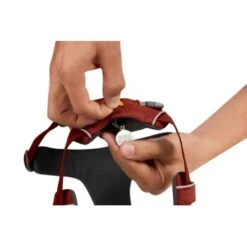 Ruffwear Front Range™ Geschirr Rubin S -Ruffwear Verkäufe 2024 c04a241503bcf62faf722546c715f4a135c4d607 1651482 de DE c0b167bcff68d89a8d2846f7a6777fc3b8ea7841MHdtei