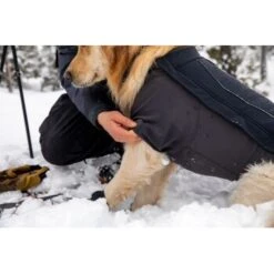 Ruffwear Cloud Chaser™ Hundejacke 15 Ruffwear Cloud Chaser™ Hundejacke -Ruffwear Verkäufe 2024 c08ed86245839b8fa7d59b47206e376a4924f862 1369625 de DE 87ed046f15d6c099e4f33a0b92b8494c495a6d97LL6Vmg
