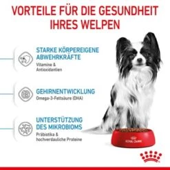 ROYAL CANIN X-Small Puppy 1,5 Kg -Ruffwear Verkäufe 2024 c1d69de51795c2f1ef8ed46862b710ee70fff790 3182550793636 4