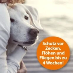 Ardap Zeckenspray Zur Anwendung Am Tier 250ml -Ruffwear Verkäufe 2026 c211242df7e08f33fd5b606730fbf3d298e6cd4c 1288166 de DE 0495e7c3c66b5adb548c78a490f9c5a9804bc777AYMdPn