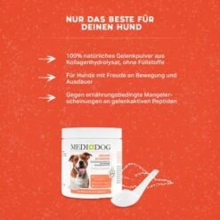 MediDog Gelenkschmiere -Ruffwear Verkäufe 2026 c2260bdbd924fcc5c3919c27254c4c1dc8dd9d9a 1660407 de DE 24aca3d9f49784b2b40f2e4078cdf1aaa1e37af9iudOQZ