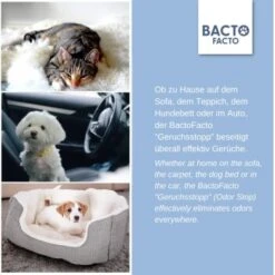 ChronoBalance BactoFacto Probiotischer Geruchsstopp Pads Für 2 Liter 20 Ml 11 ChronoBalance BactoFacto Probiotischer Geruchsstopp Pads Für 2 Liter 20 Ml -Ruffwear Verkäufe 2024 c27e75fc226c89e592b2af9866887997e79057a8 1397549 de DE 11eaf103bff429178d8c79950fc83faf63345183BU6JEF