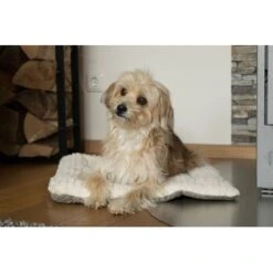 TrendPet Heaven Gefütterte Liegedecke Beige XS 17 TrendPet Heaven Gefütterte Liegedecke Beige XS -Ruffwear Verkäufe 2024 c5c66fc687d35a3e6773ef1448666519ab0b2e08 1247692 de DE 81f160c83e2294ffce25bd46e4e5f7822b6791cdSRCcNt