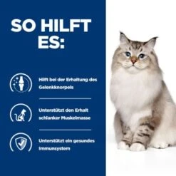 Hill's Prescription Diet Joint Care J/d Huhn 3 Kg -Ruffwear Verkäufe 2024 c5cc52043a454c046dc7b36fa95028d87fbee9ae 52742048352 5