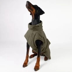 THE DOG IDEA Bademantel Every Khaki XXXS -Ruffwear Verkäufe 2024 c6567ee5fa23ab9a22b56936e6d4134ee2acea14 1473018 de DE 152849e6e27b535b9a56967a3d0992ac03ebbc6b46CQen