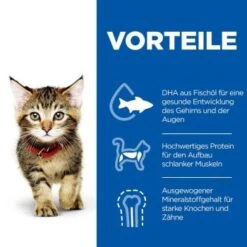 Hill's Science Plan Kitten Thunfisch 7 Kg 10 Hill's Science Plan Kitten Thunfisch 7 Kg -Ruffwear Verkäufe 2024 c6fb28c1a799efc2b3725ee5b7be61613fad29ae 52742024431 4