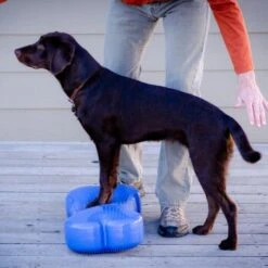 Titelseite -Ruffwear Verkäufe 2024 c74db1e1312342a19fcc2d6ebd3c4f0f4a0fcdda 9c717c6497079abbbd394fd4b3ac527593ffbfa7