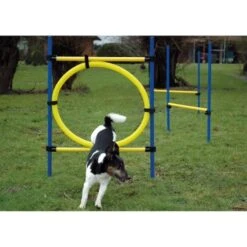 Dobar 3-teiliges Agility Sprung-Set,, Inkl. Tragetasche -Ruffwear Verkäufe 2024 c7c9dd298510f0bd74d586405ecbd396df04c759 313726f2dd166c5ec13855d4374275bbe5eeeeec