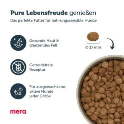 MERA Pure Sensitive Adult Truthahn & Reis 12,5 Kg -Ruffwear Verkäufe 2024 c844246eaa9ada5c6b48da67b52ef4388c34a463 1001148001 4