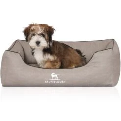 Knuffelwuff Orthopädisches Hundebett Rockland Aus Kunstleder Hellgrau M-L 7 Knuffelwuff Orthopädisches Hundebett Rockland Aus Kunstleder Hellgrau M-L -Ruffwear Verkäufe 2024 cddbe657f65275c958b8c0c7cf556c70e548410b 1411979 de DE 2db7865b3b4dcec9e1306995fbe3319c3155ec59hlJfQB