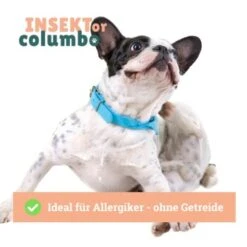 BeG Buddy Trockenfutter Insekten 10 Kg -Ruffwear Verkäufe 2024 cf116b07da699229c95db961fe6b3149884d17ce 1457249 de DE 4e178ddbc2b2fdbf0c31f82dc0c4f17ba0e1886aNH54ct