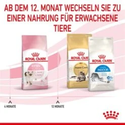 ROYAL CANIN Kitten 4 Kg 15 ROYAL CANIN Kitten 4 Kg -Ruffwear Verkäufe 2026 cf133300f1a1c045b6143772211651d61c06ad62 3182550702973 7