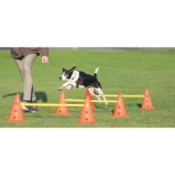 Trixie Dog Activity Hindernisse Ø23x30cm -Ruffwear Verkäufe 2024 cf5032631aac0df221da4281f2bf49a2321f1aa1 1287032 de DE Trixie Hindernisse wb 1