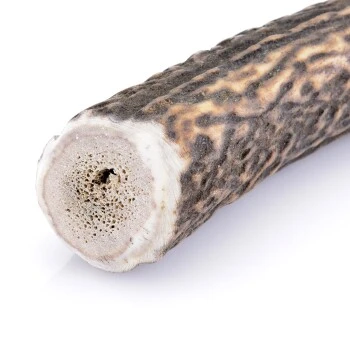 Larsson Geweih XL Ca. 160-250g 3 Larsson Geweih XL Ca. 160-250g – Bild 3