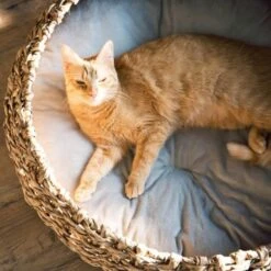 District 70 COCOON Natural M -Ruffwear Verkäufe 2024 d1bca9000c27271741682ed9d9947040fa216679 010fccd4edaf289528235b12a94f95e756b71b5e