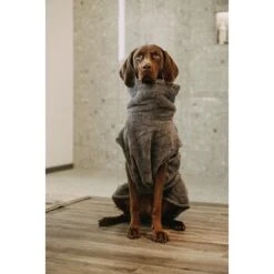 Lills Lill's Hundebademantel "Night Blue" 35 Cm 5 Lills Lill's Hundebademantel "Night Blue" 35 Cm -Ruffwear Verkäufe 2024 d200b579b2b65ad9031ca5a6286c317e485ef232 1653379 de DE 98bc74239c4ab048310224eeb67c837697c0c318SRPWrI