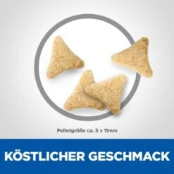 Hill's Science Plan Hairball Indoor Adult Mit Huhn 3 Kg -Ruffwear Verkäufe 2024 d22915eed5f581b2aadd8692cf33e6afbd622437 52742024011 6