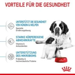 ROYAL CANIN Giant Starter 15kg -Ruffwear Verkäufe 2024 d514ef03606b57b35e1895eeb5926efaddf3e02c 3182550778831 5