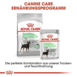 ROYAL CANIN Digestive Care Mini 8 Kg -Ruffwear Verkäufe 2024 d5818e1fc6ace225771cfefb1363230c26463a7b e7fcde56ee134744d29e981677f175f837171ec4
