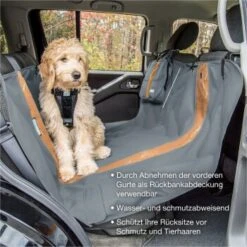 Kurgo Wander-Autohängematte Für Hunde Schwarz -Ruffwear Verkäufe 2026 d613a293a967d84f45284ce69dda3387bc210fd2 1262326 de DE 2c8f8b7a604c6a54f611119c1874a2802e124e86sHcZLh