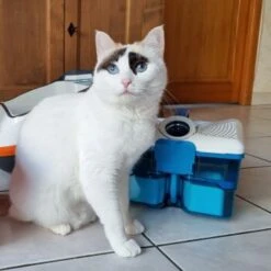 THOMAS Staubsauger 14 THOMAS Staubsauger -Ruffwear Verkäufe 2024 d74e3cdb93ec3dcec33da8a346880210d1823b1e 1406733 de DE 817045830cc32e31da1f6ec74c9727ecafc6b086XIONN0