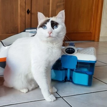 THOMAS Staubsauger 4 THOMAS Staubsauger – Bild 4